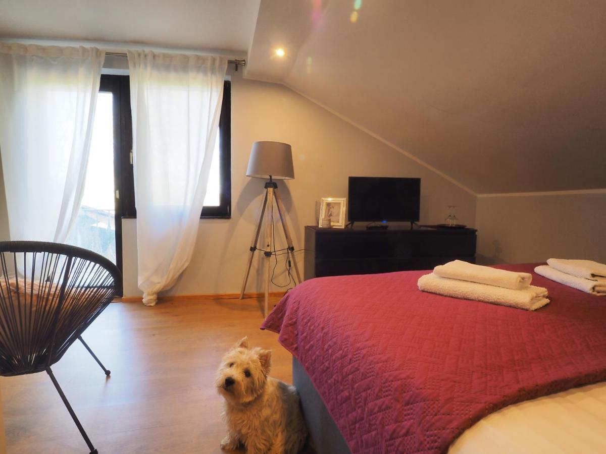 Guest House Sara Latin المظهر الخارجي الصورة