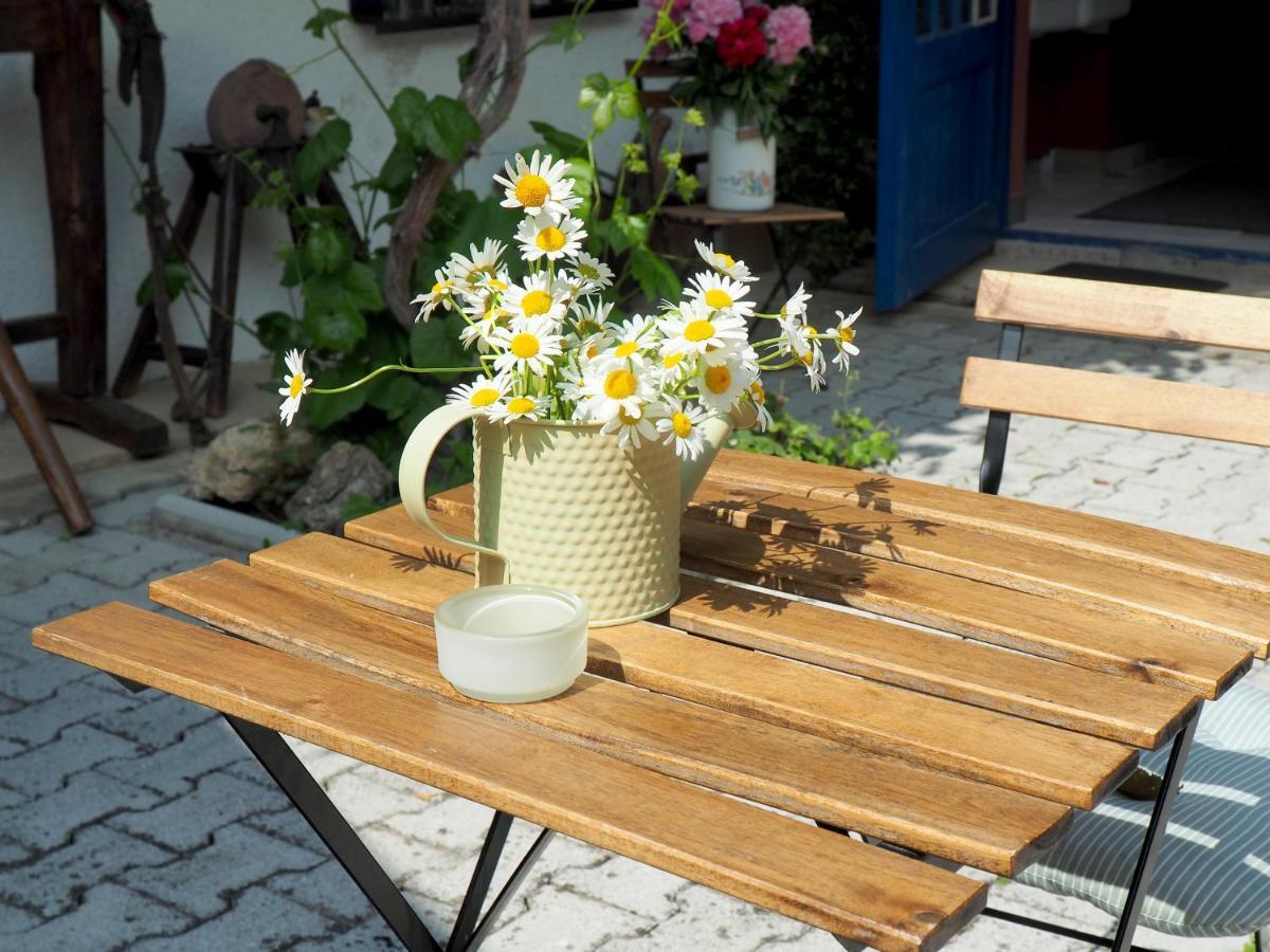 Guest House Sara Latin المظهر الخارجي الصورة